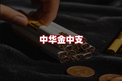 中华金中支